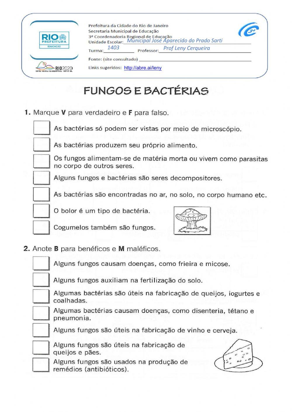 Fungos e Bacterias1