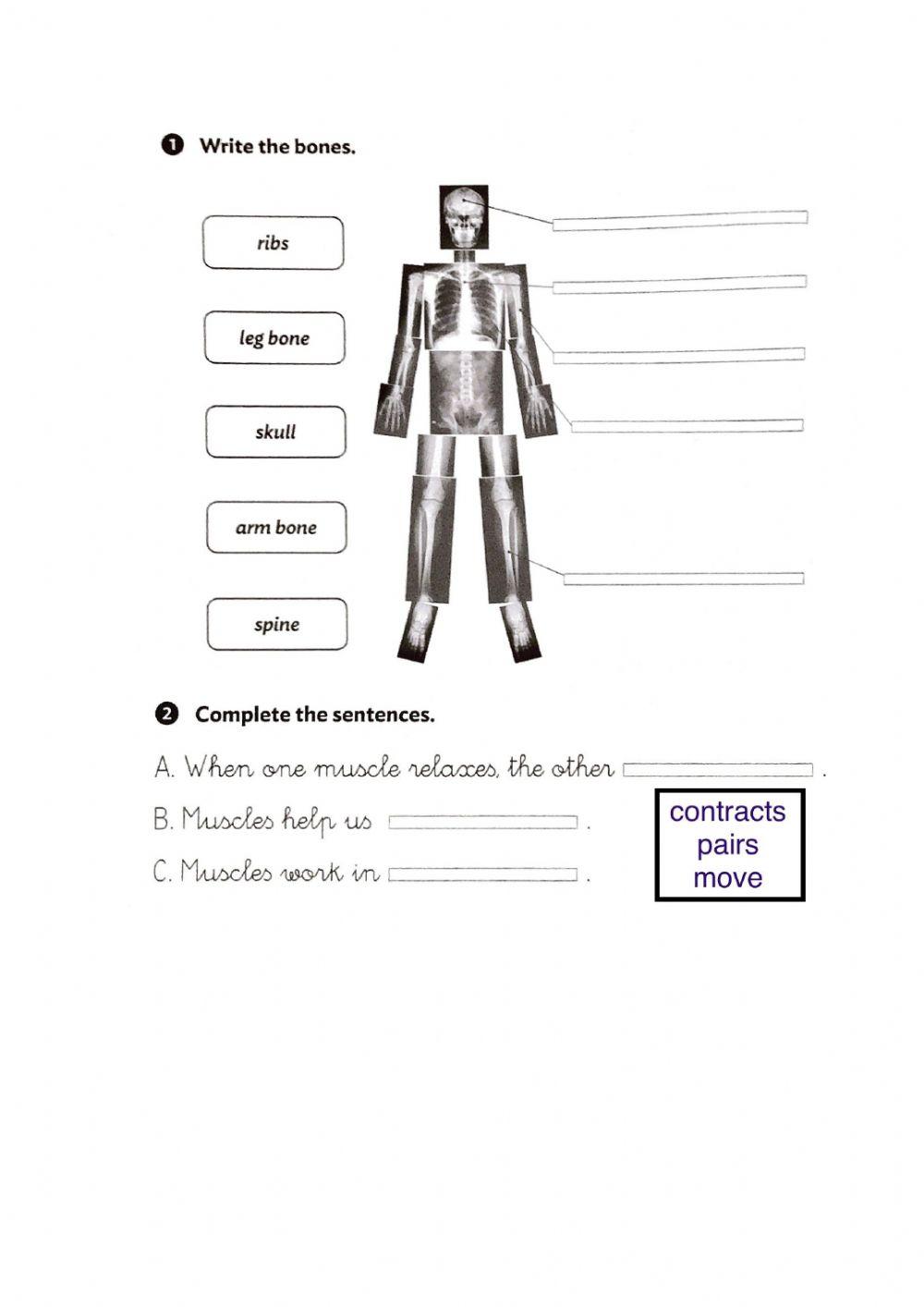 2º Science: unit 1 review