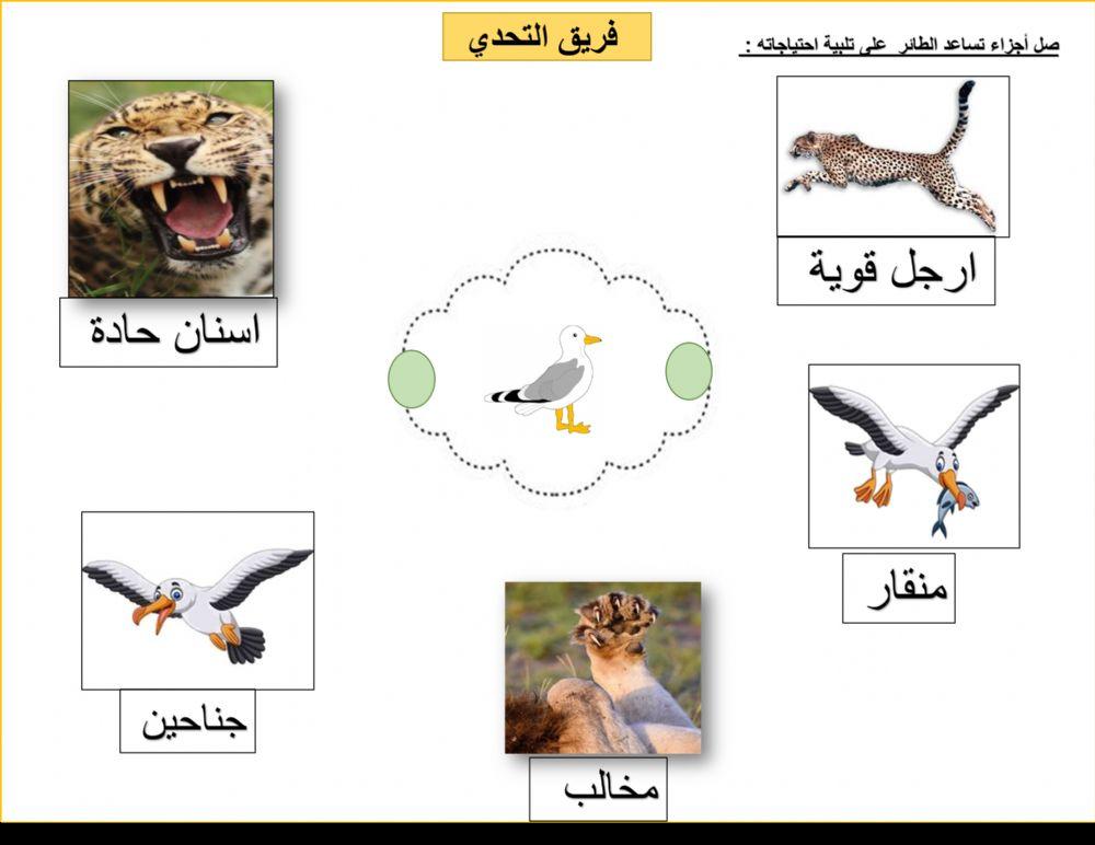 احتياجات الحيوانات