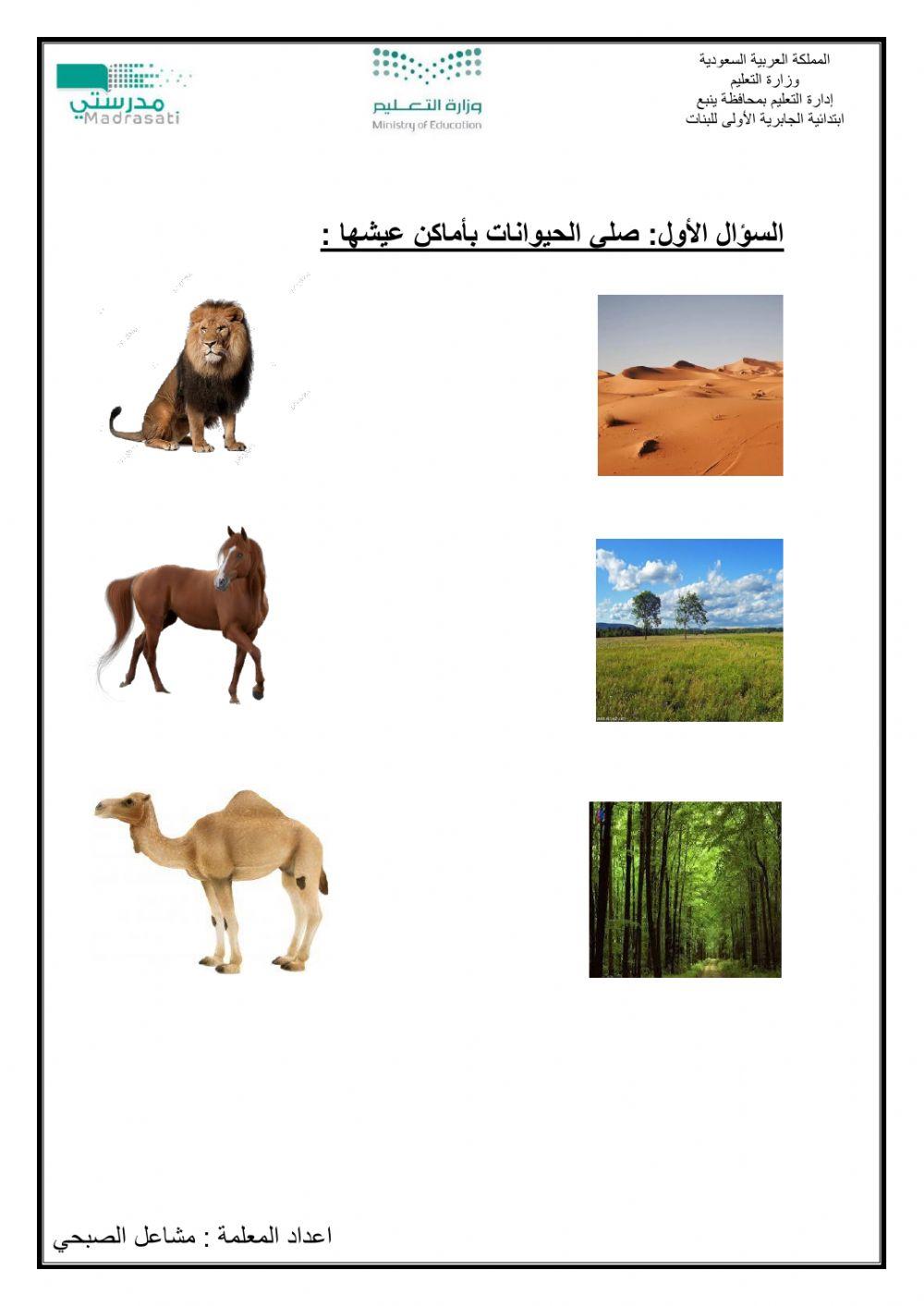 اماكن العيش مواطن اليابسة