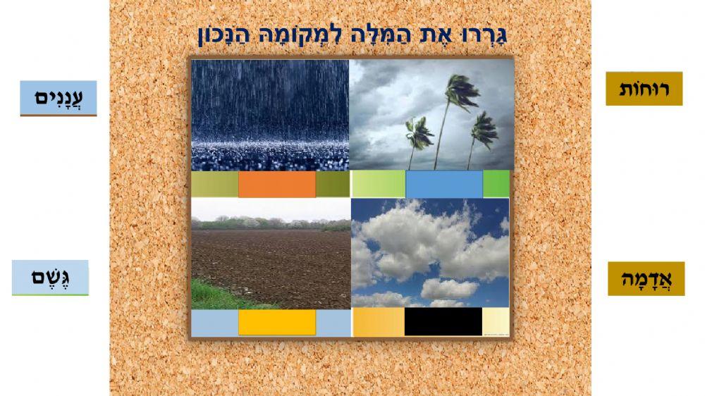 עונת הסתיו 5+6