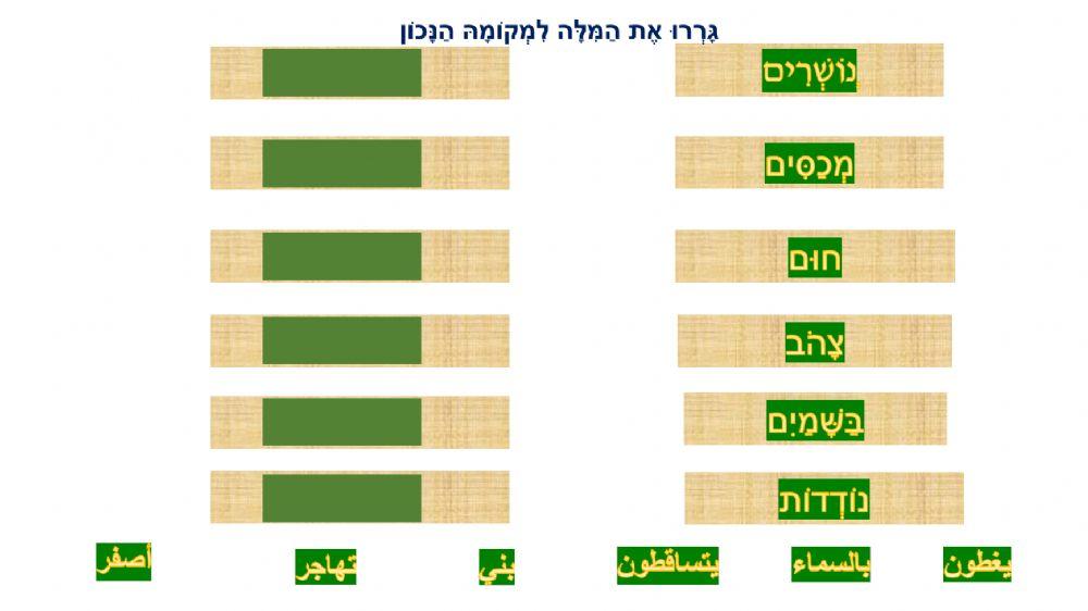 עונת הסתיו 5+6