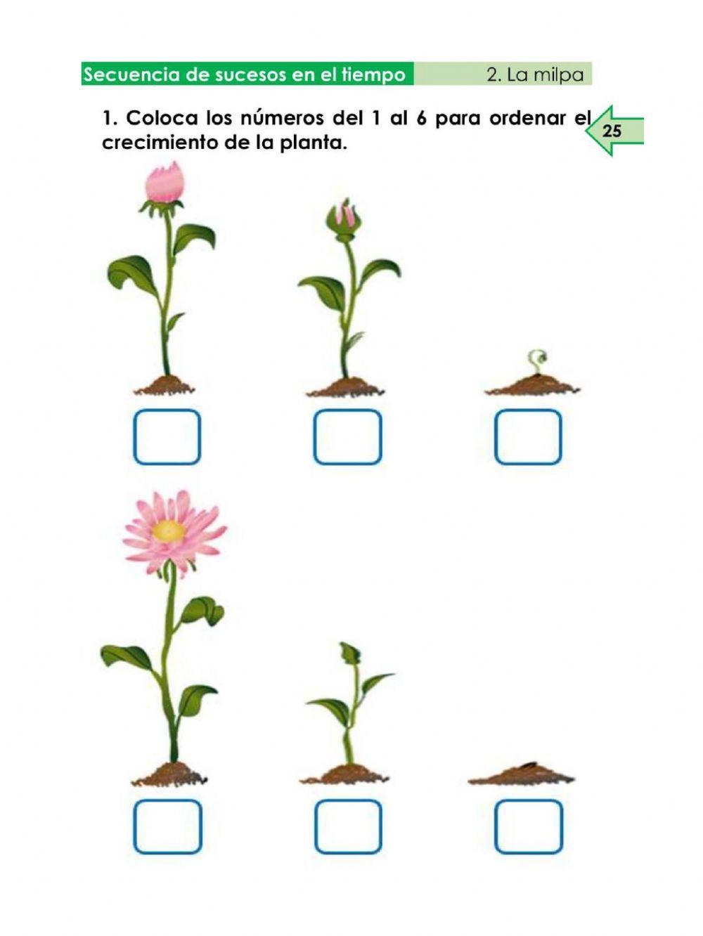 Secuencia de sucesos en el tiempo