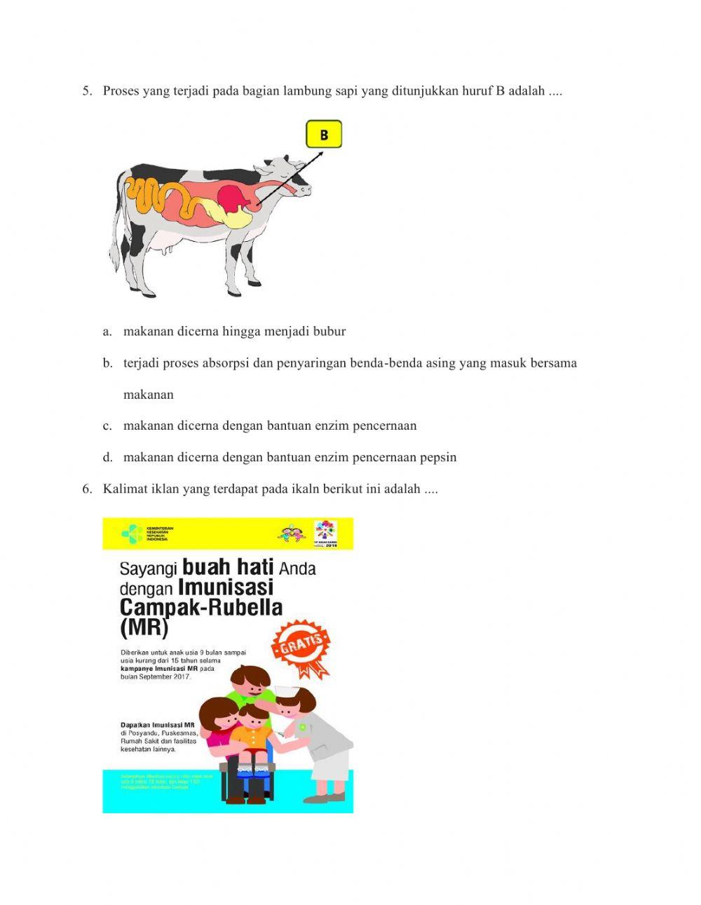 Ulangan tema 3 subtema 1