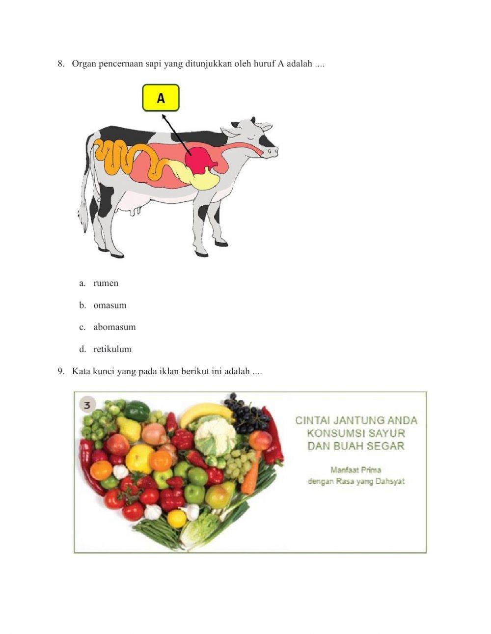 Ulangan tema 3 subtema 1