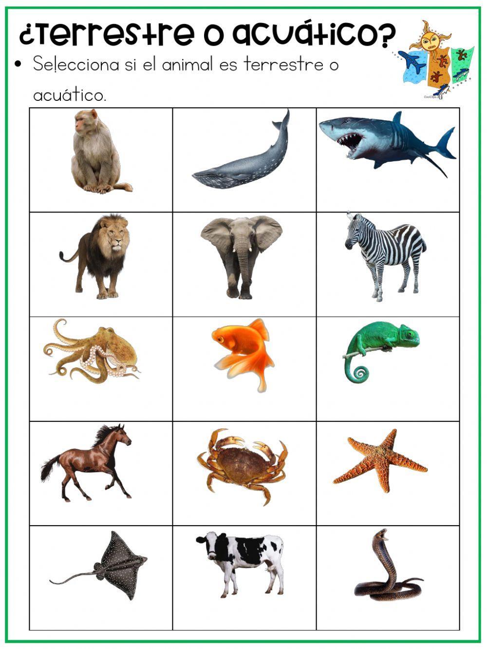 Animales terrestres o acuáticos