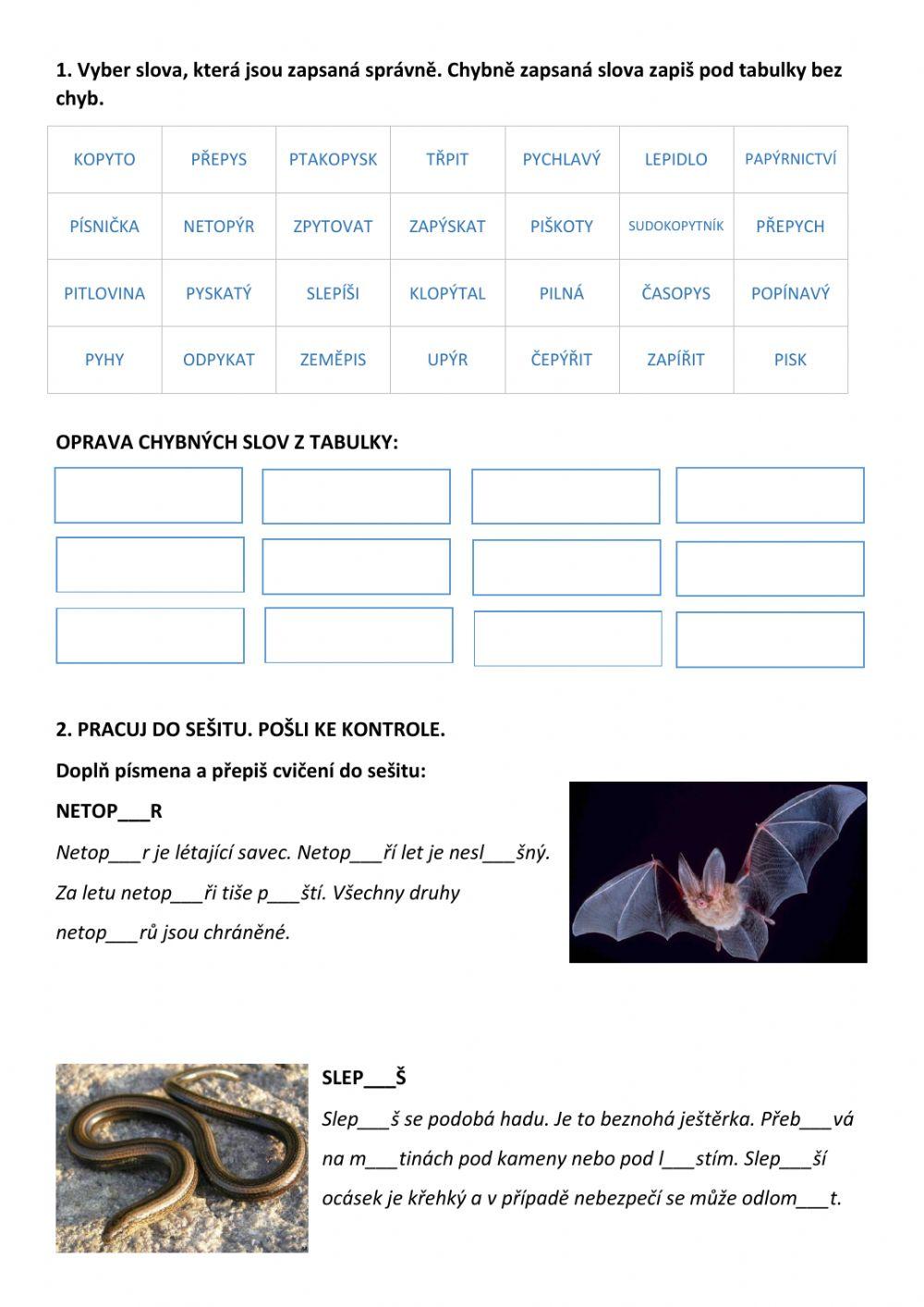 Vyjmenovaná slova P