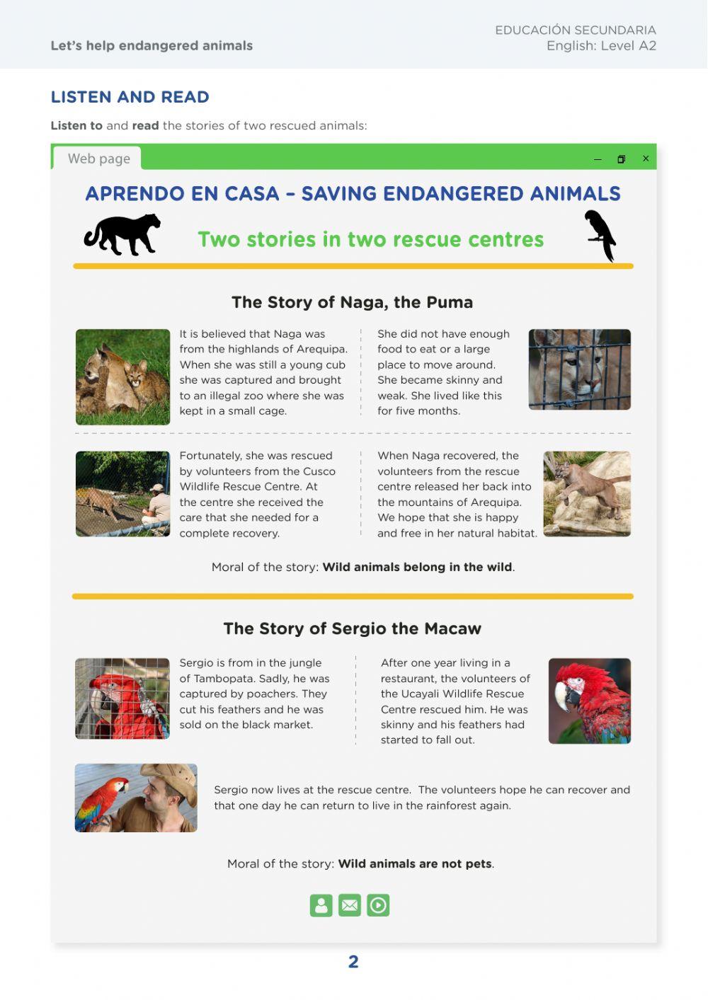 Endangered animals 3