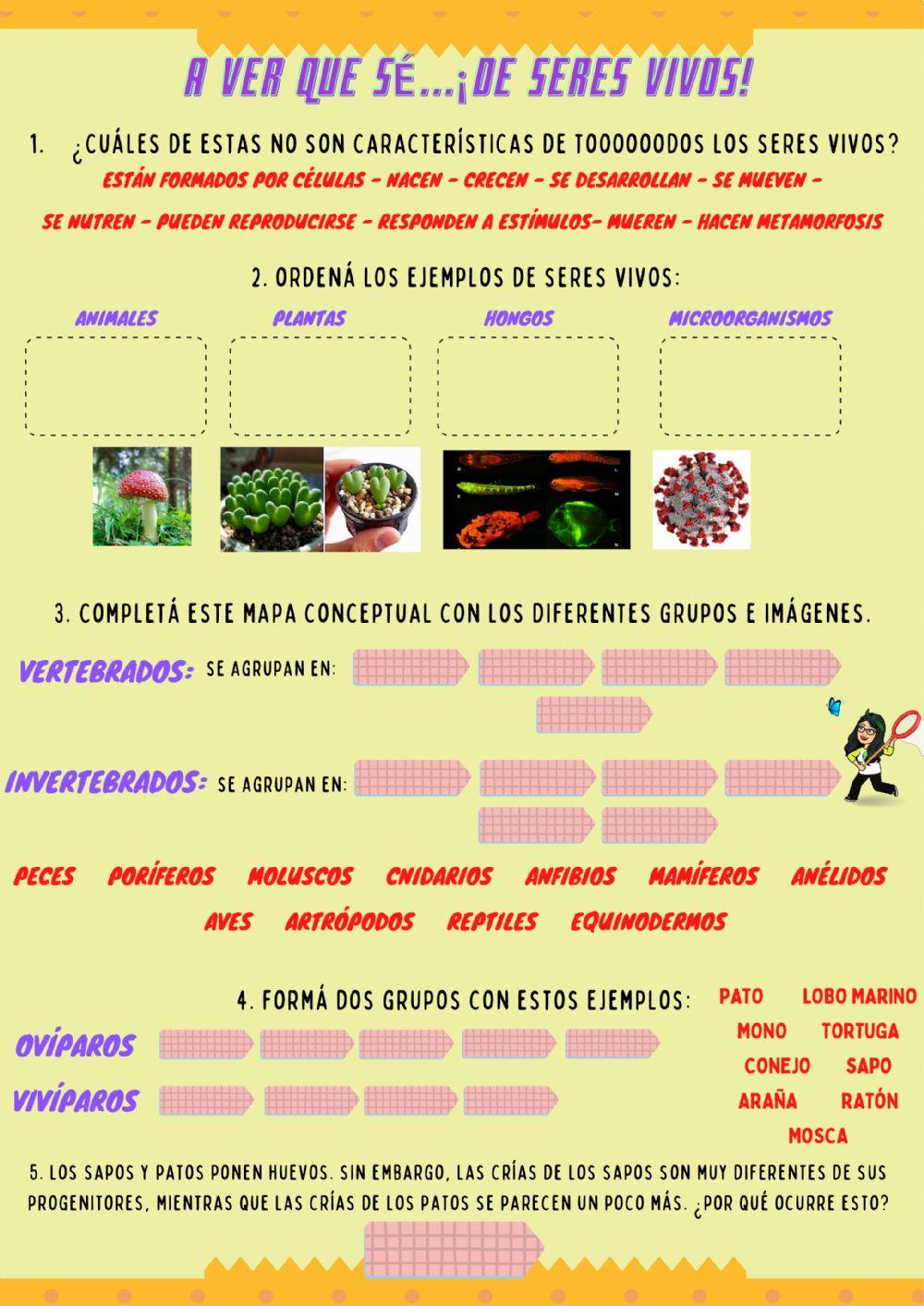 A ver qué aprendí de seres vivos