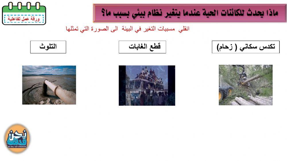 التغييرات في الانظمة البئية