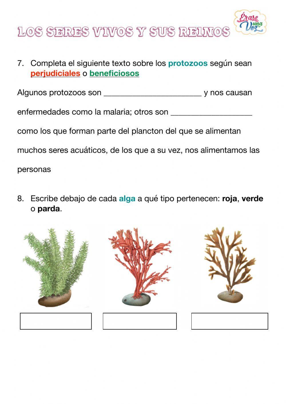 Los seres vivos y sus reinos