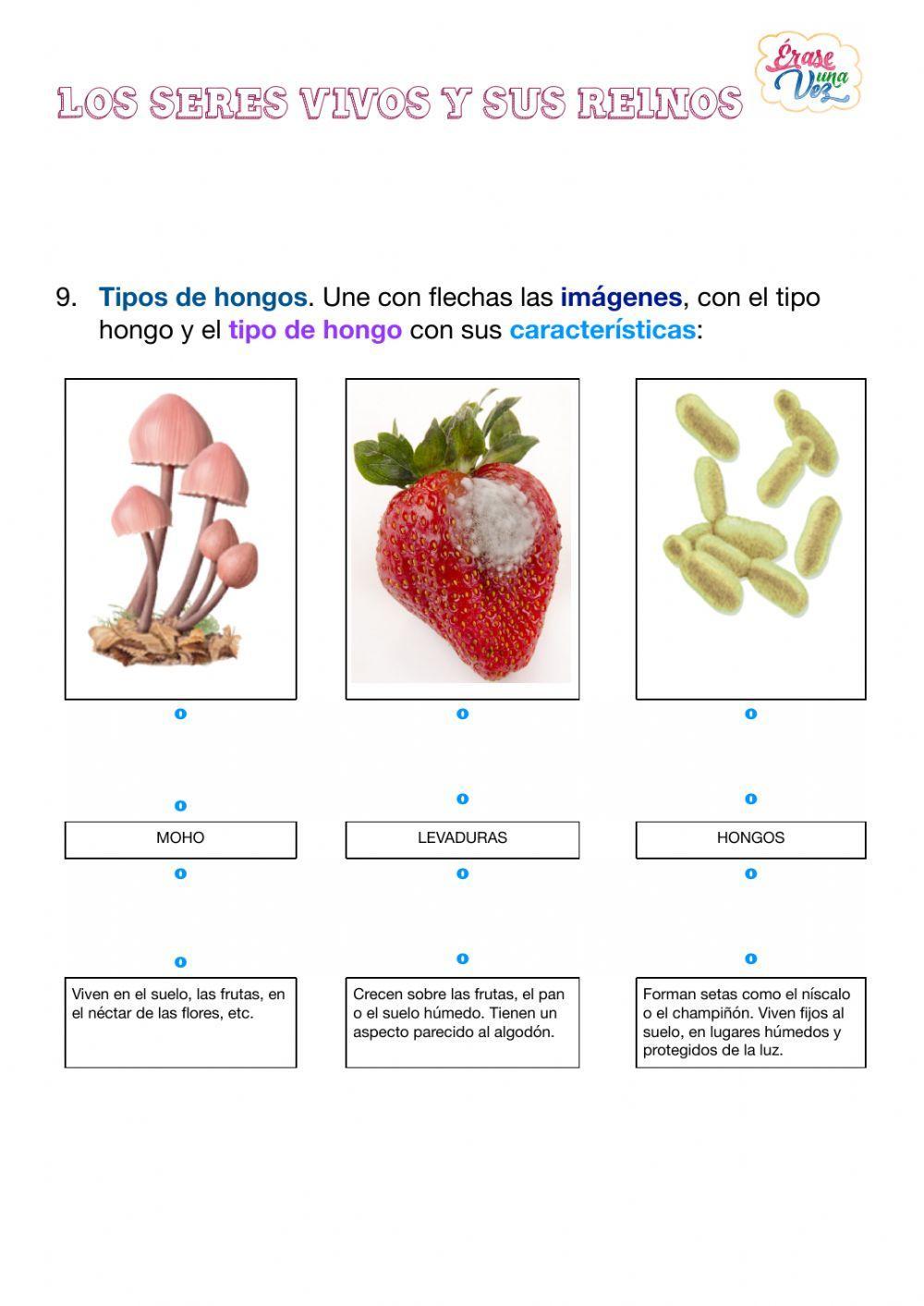 Los seres vivos y sus reinos