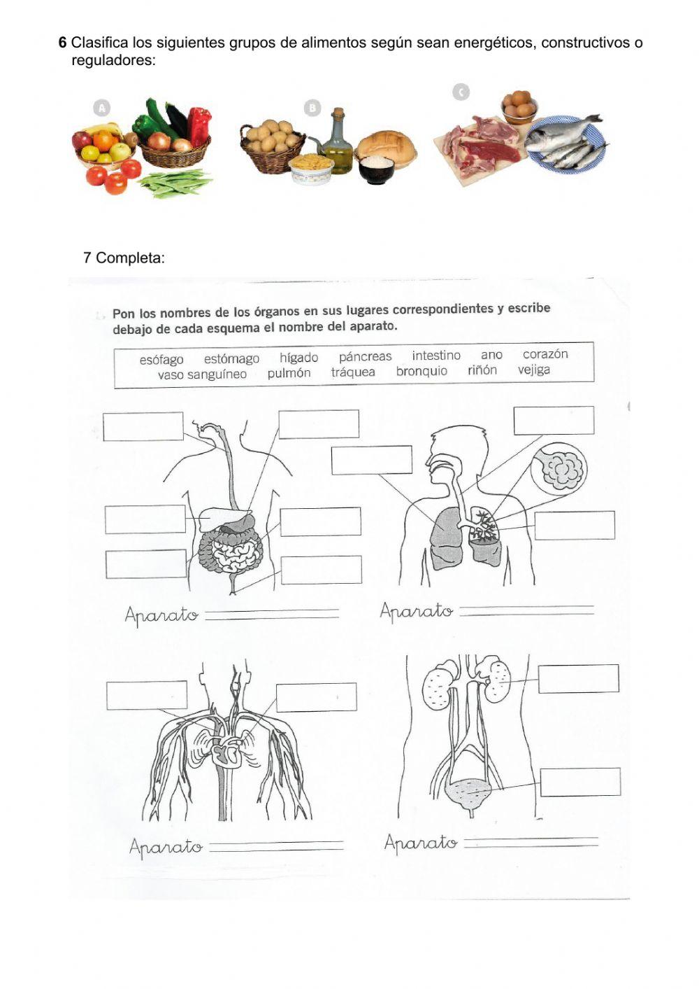 Control Función de Nutrición