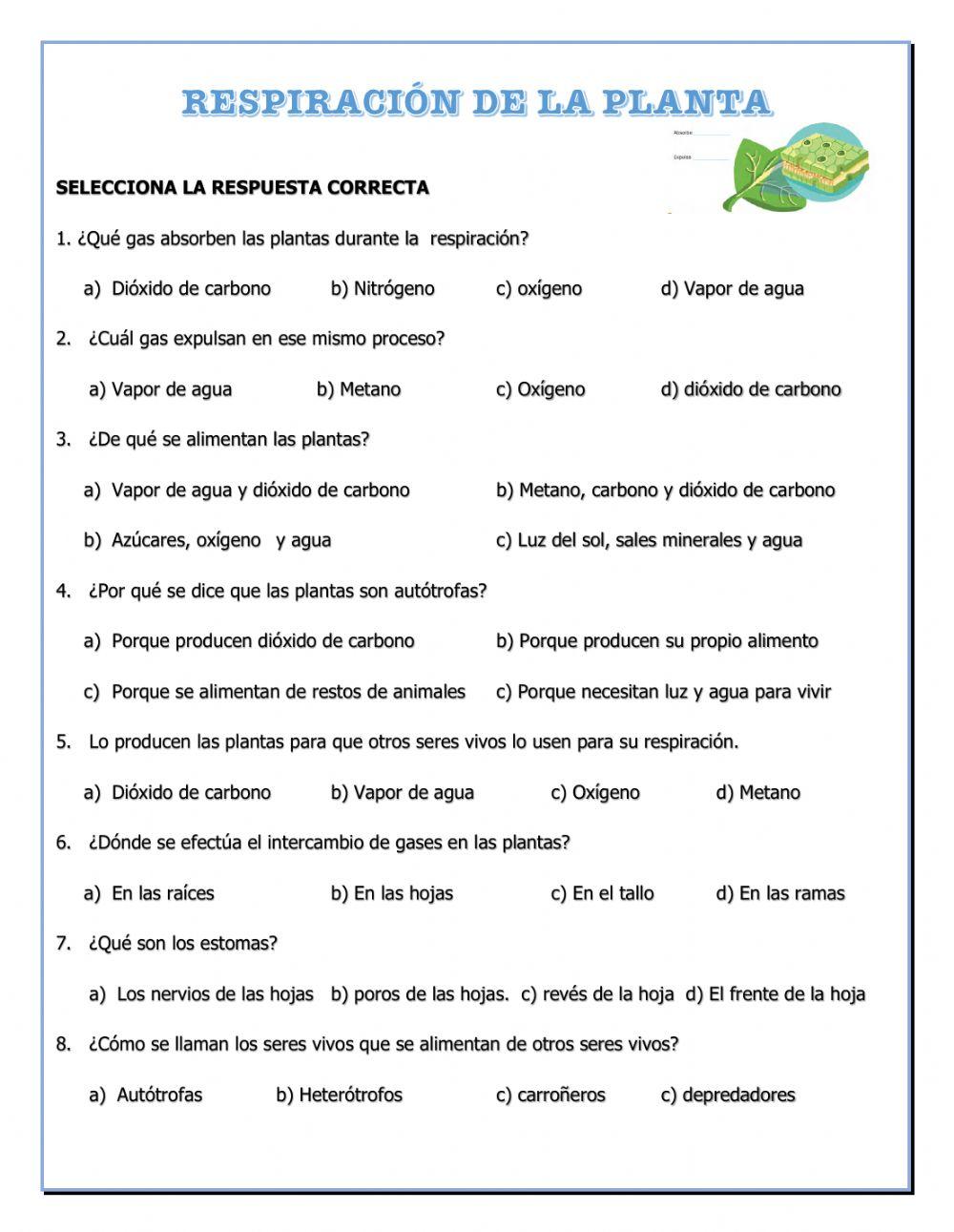 Comose alimentan las plantas