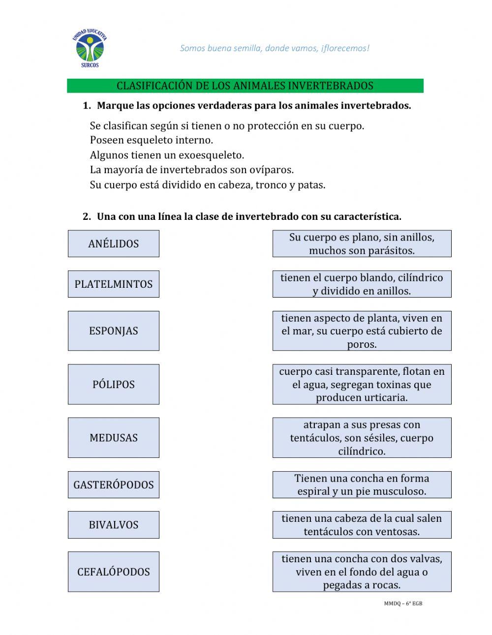 Clasificación invertebrados