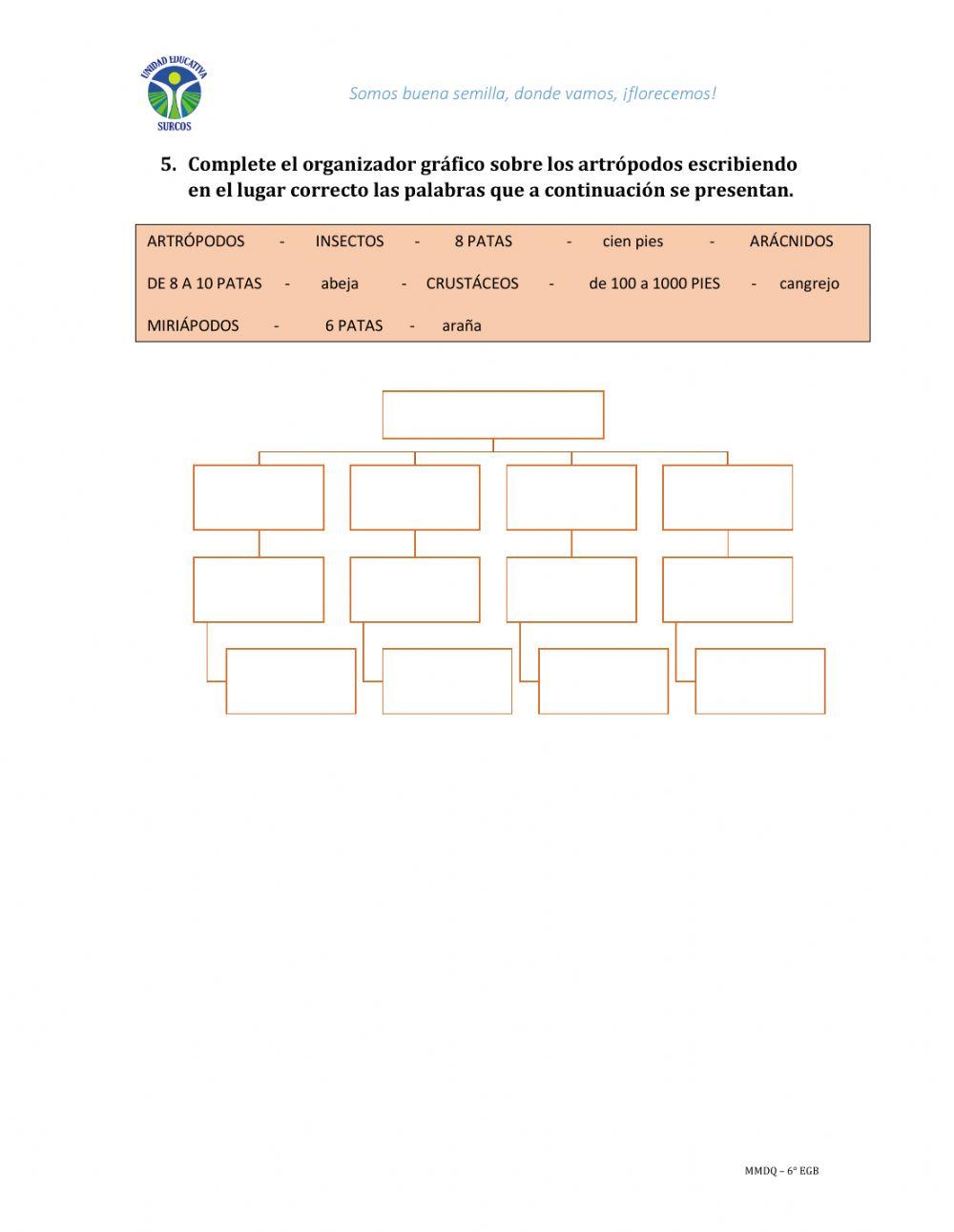 Clasificación invertebrados