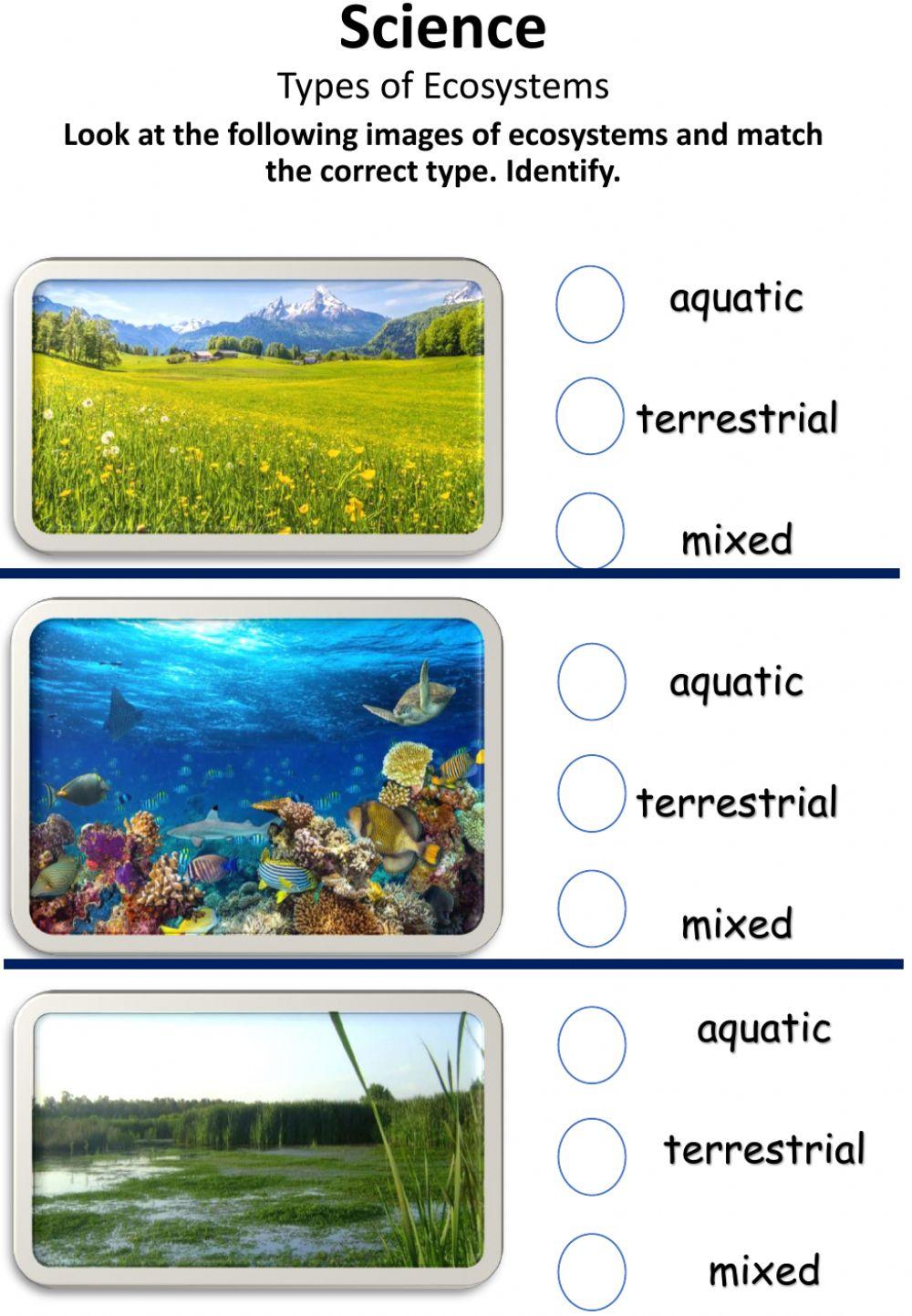 Types of ecosystems online exercise for live worksheets
