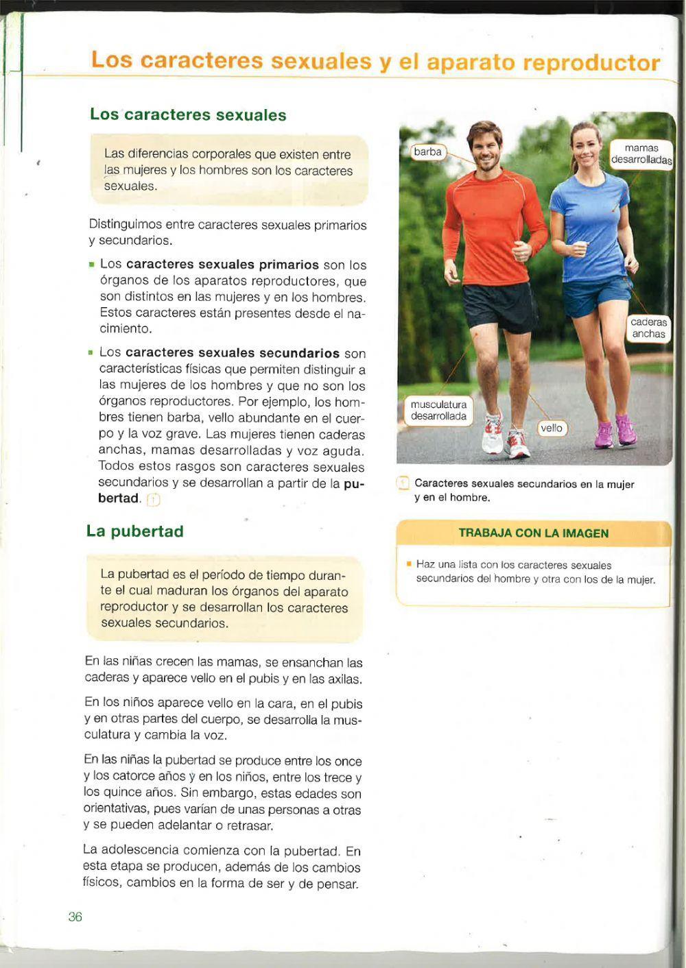 Células sexuales y caracteres sexuales