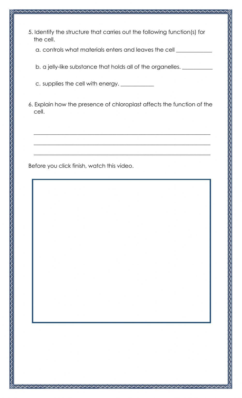 The Plant and Animal Cells