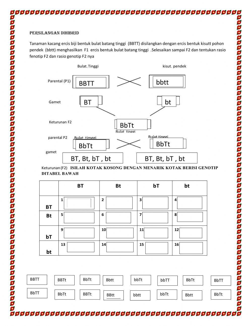 MATERI PEWARISAN SIFAT -SMPN 1 Kandis Siak riau