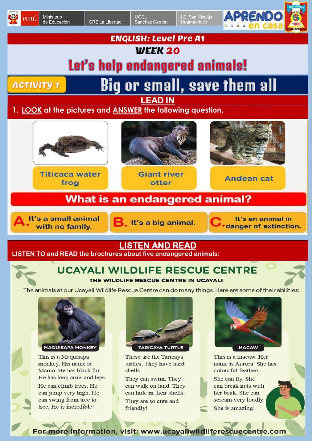 Let’s help endangered animals! - Big or small, save them all