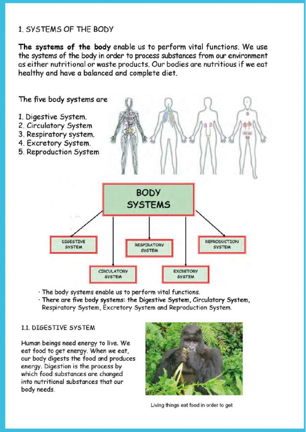 Human systems