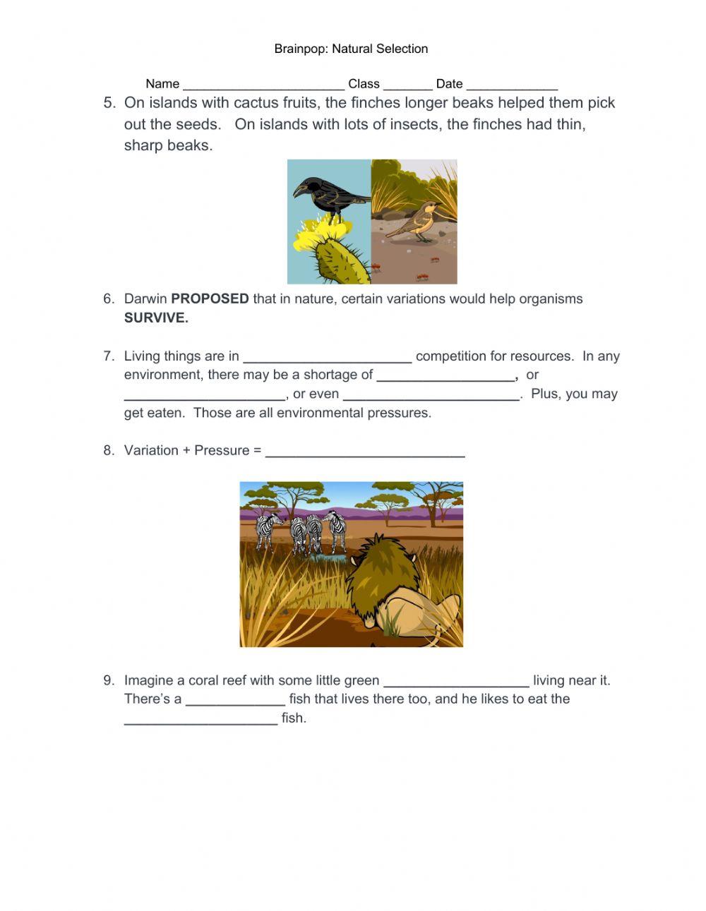 Brain Pop: Natural Selection