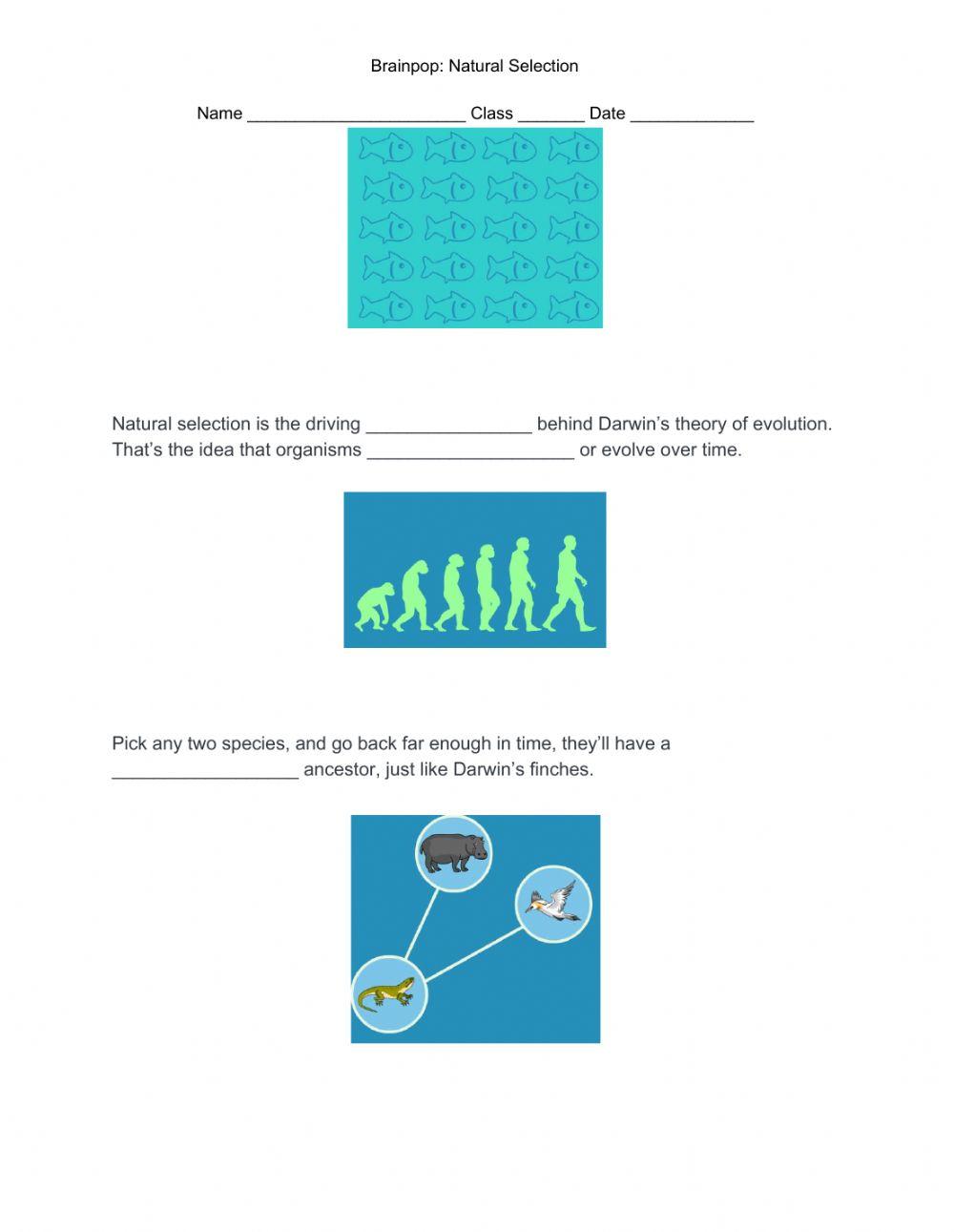 Brain Pop: Natural Selection