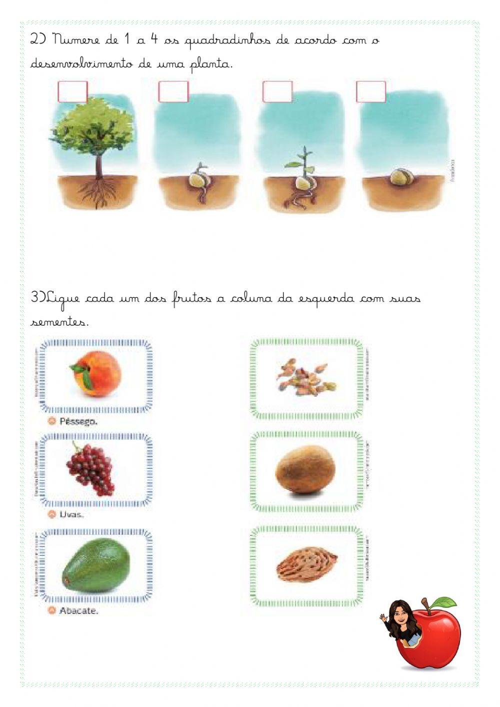 Atividade de ciências 28