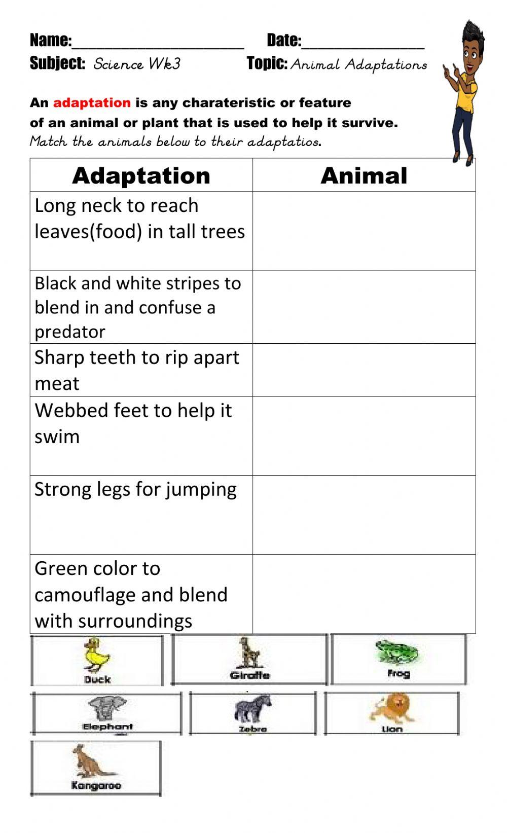 Animal Adaptations