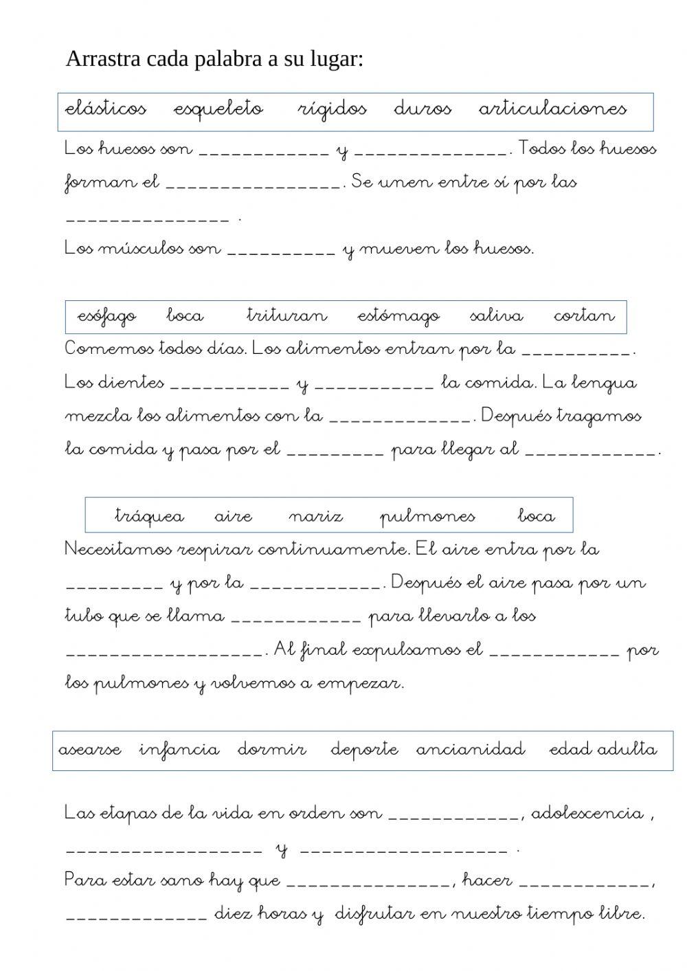 Respiración, digestión, etapas de la vida