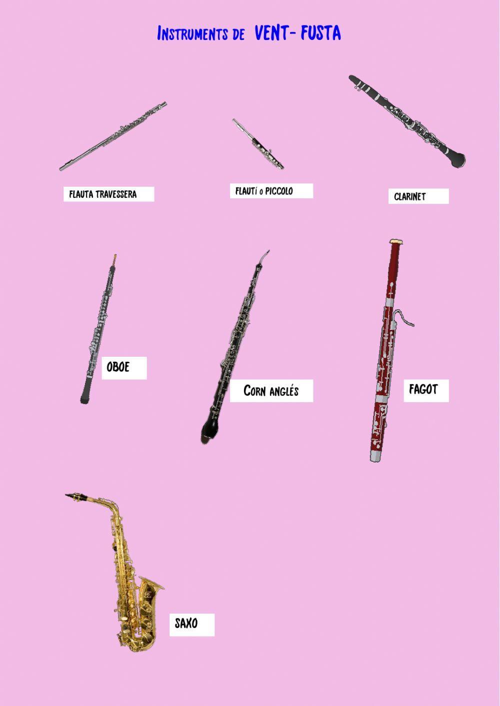 Instrument Vent-fusta