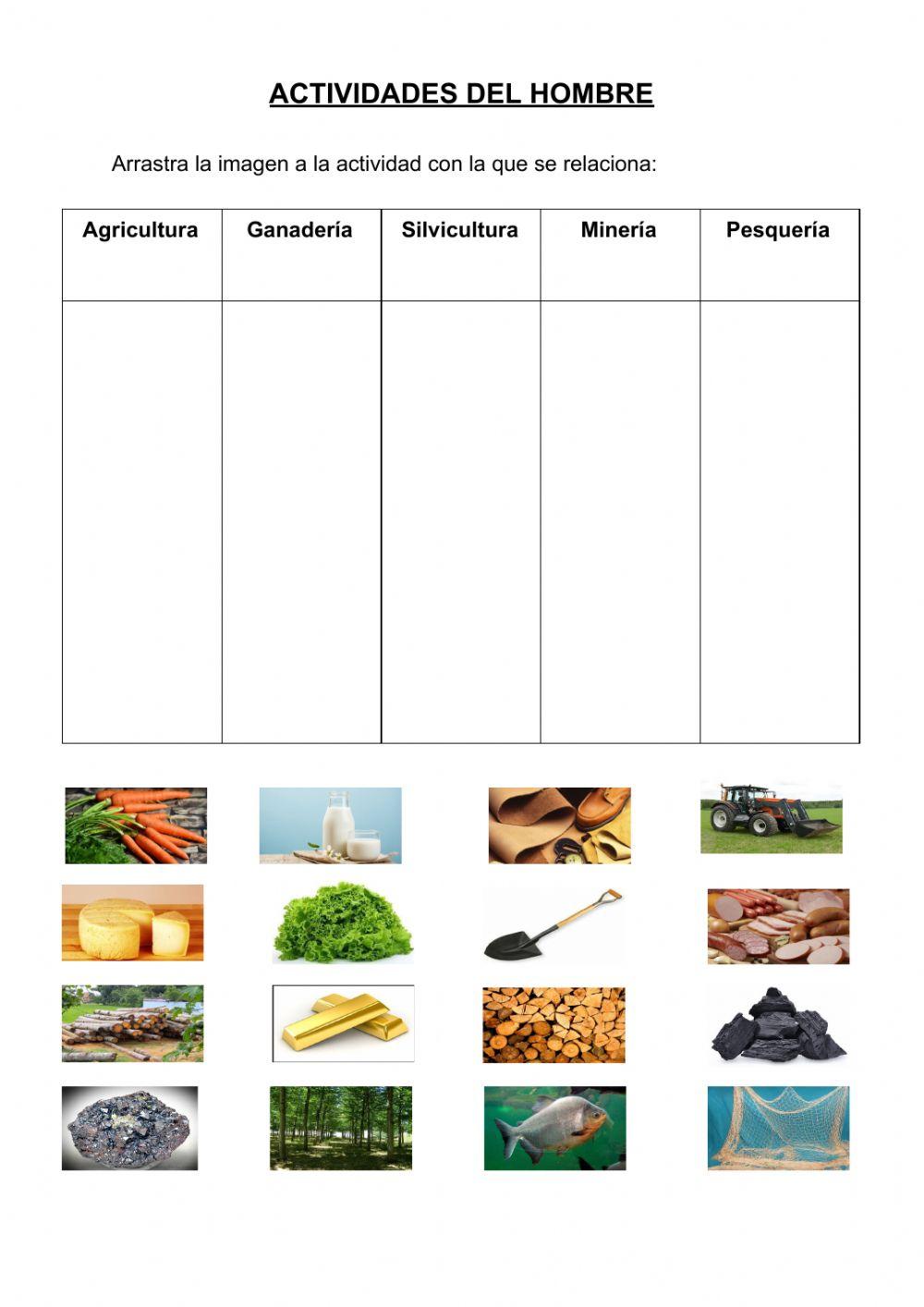 Actividades del hombre