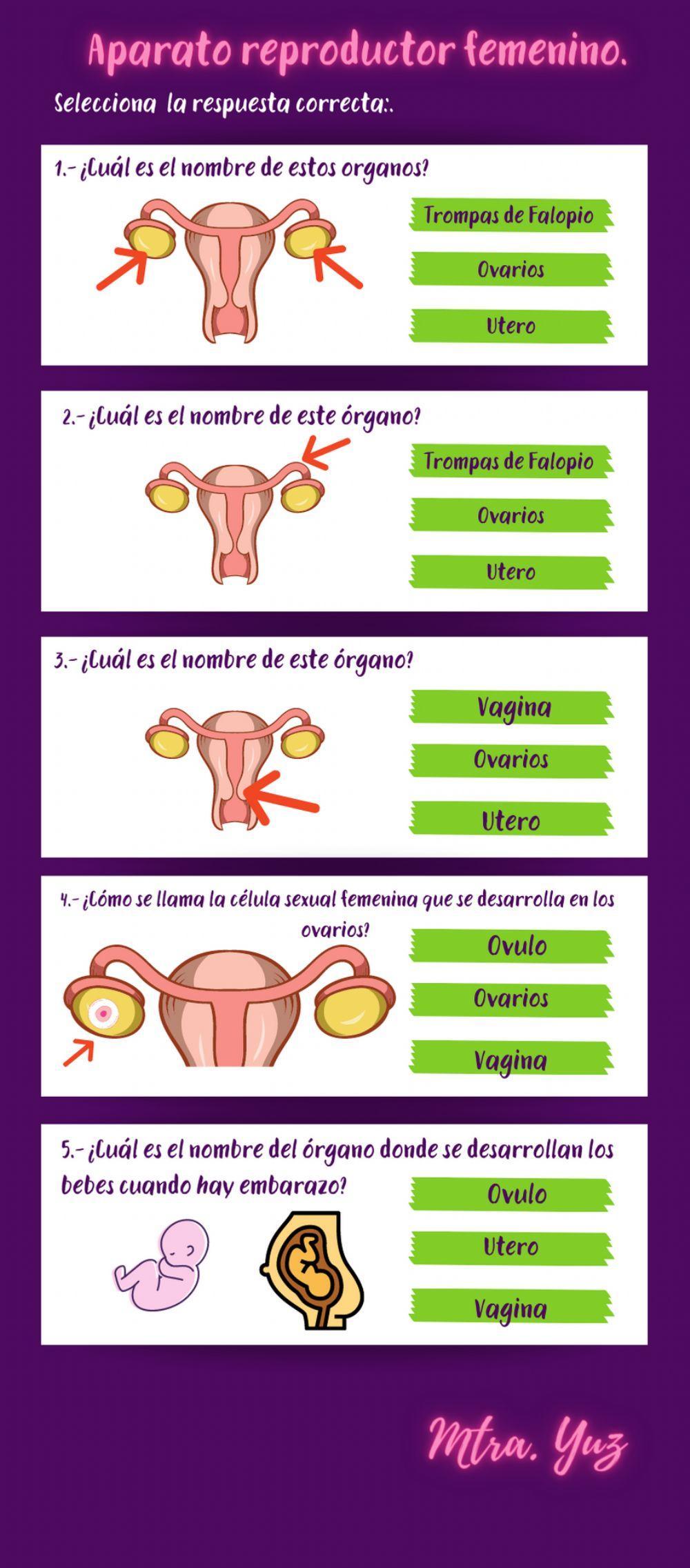Aparato reproductor Femenino
