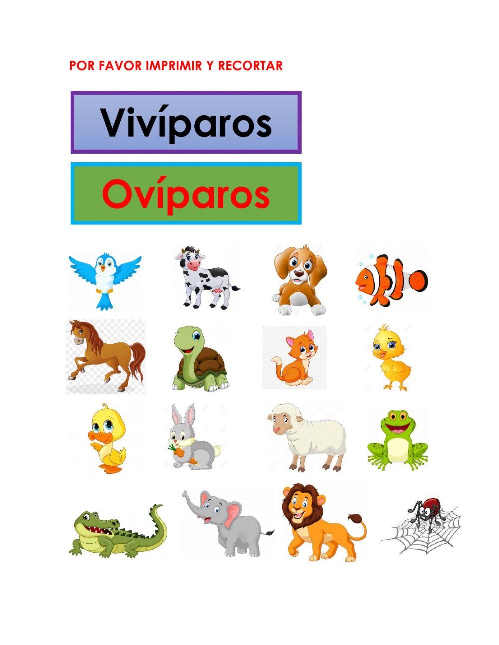 4370980 | ANIMALES OVÍPAROS Y VIVÍPAROS | JAKKYTA | 4370980-animales-ov-paros-y-viv-paros-jakkyta