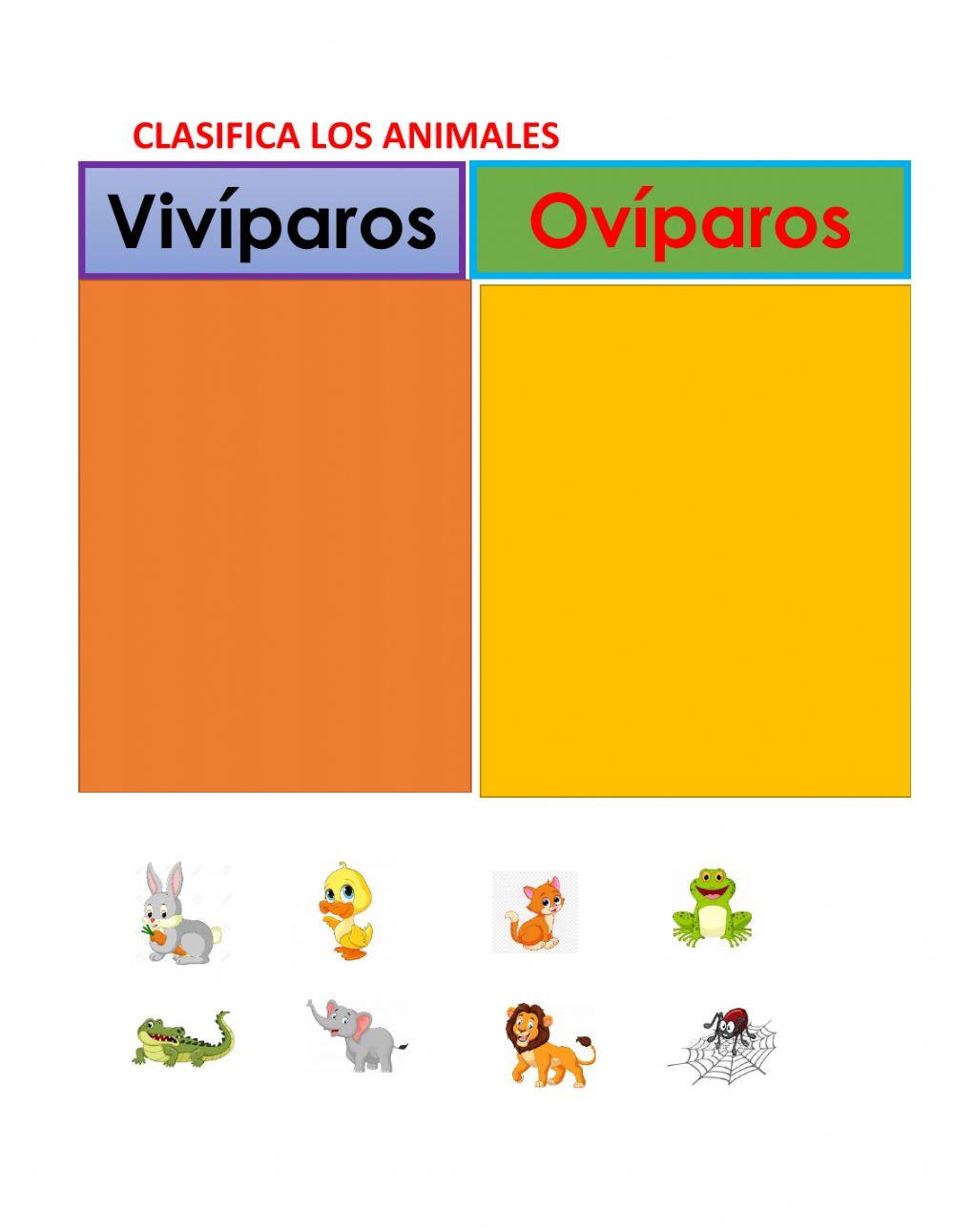 Animales ovíparos y vivíparos