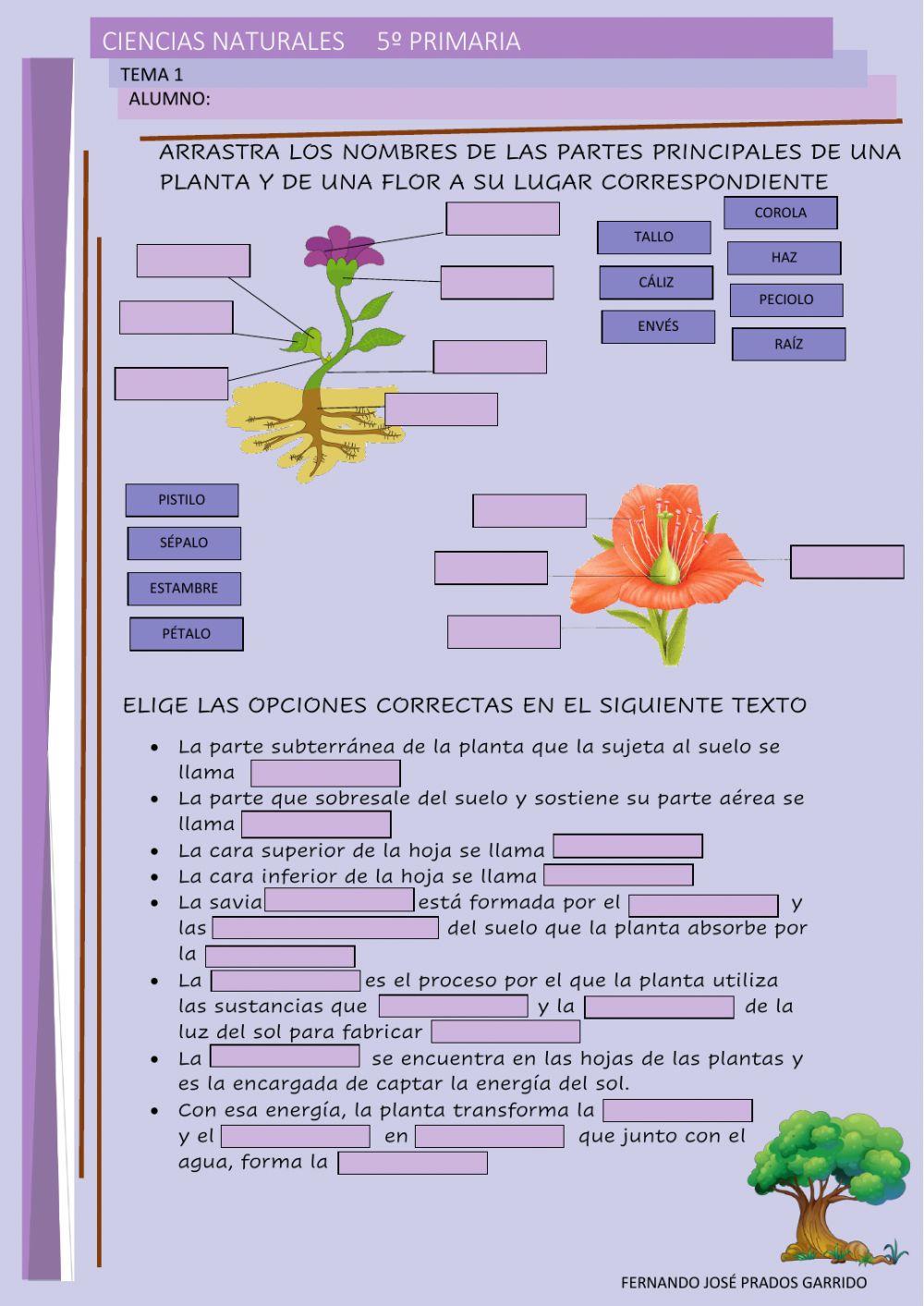 5º naturales tema 2