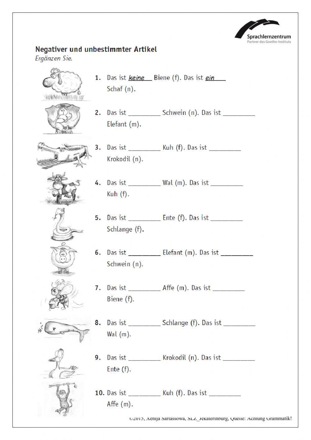 Artikel im Nominativ