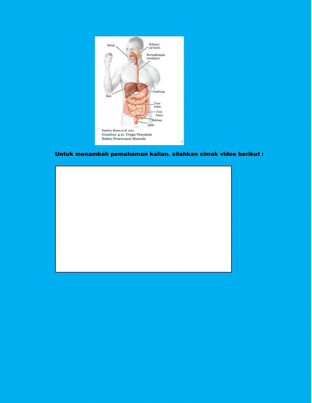 Struktur dan fungsi sistem pencernaan