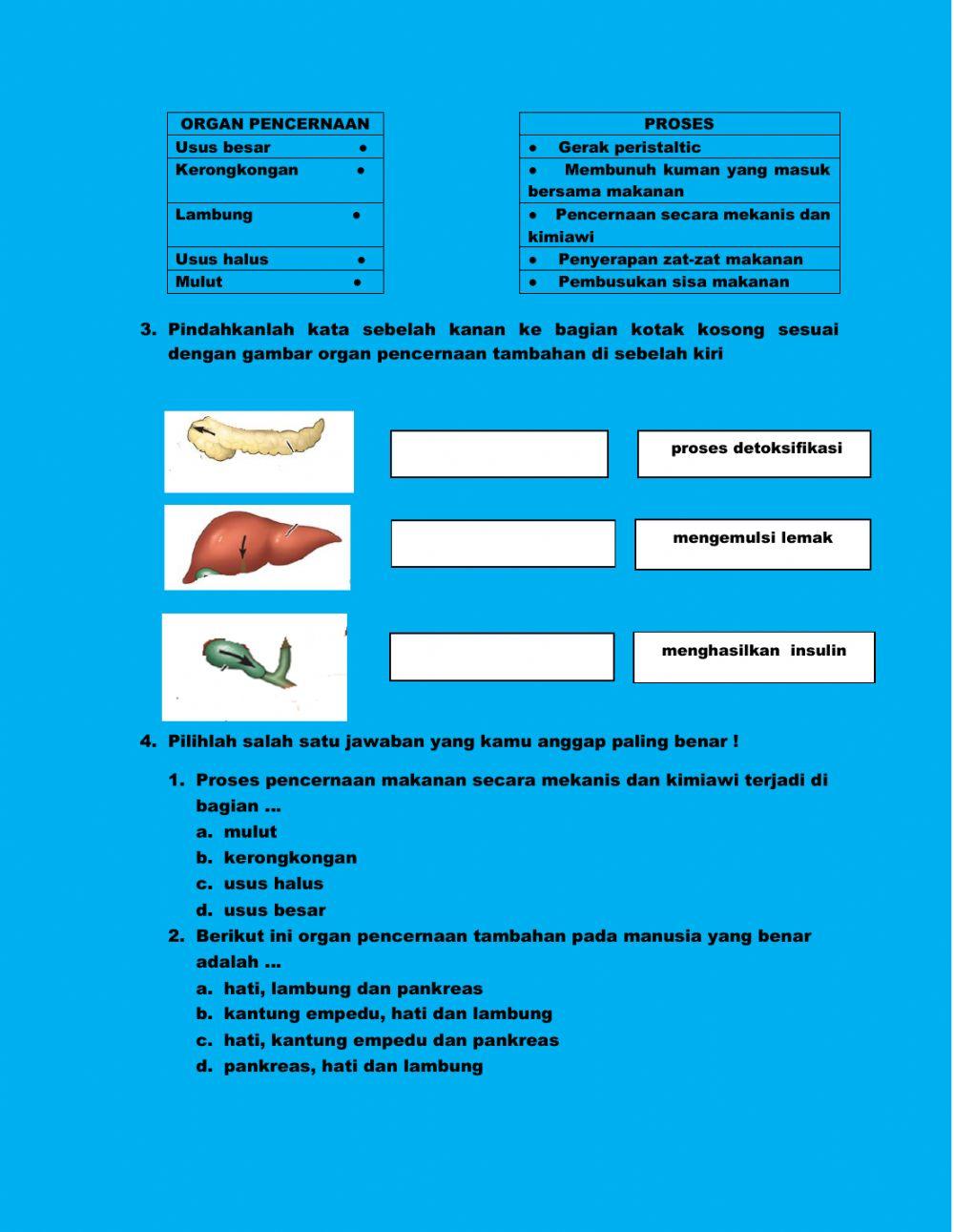 Struktur dan fungsi sistem pencernaan