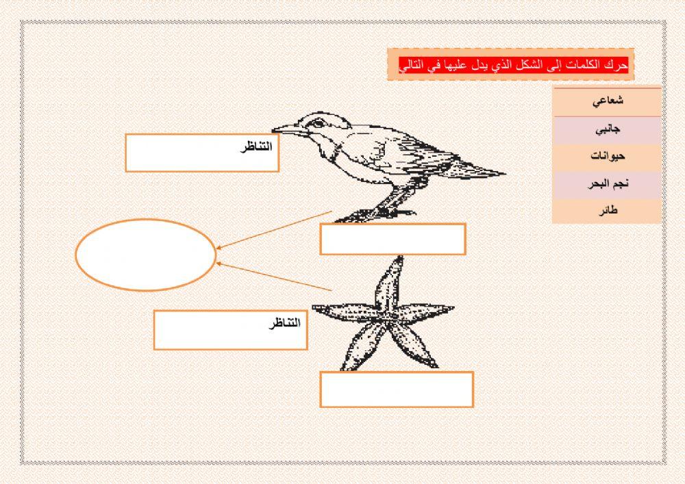 ورقة (4)تفاعلية1