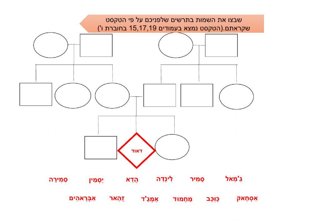אילן יוחסין