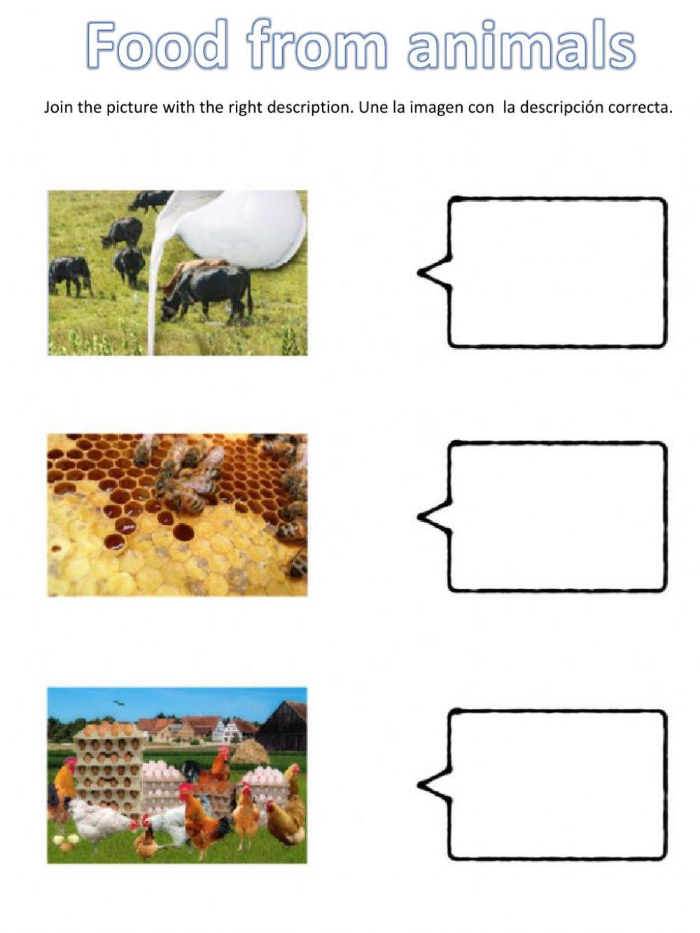 Food from animals Food from animals
