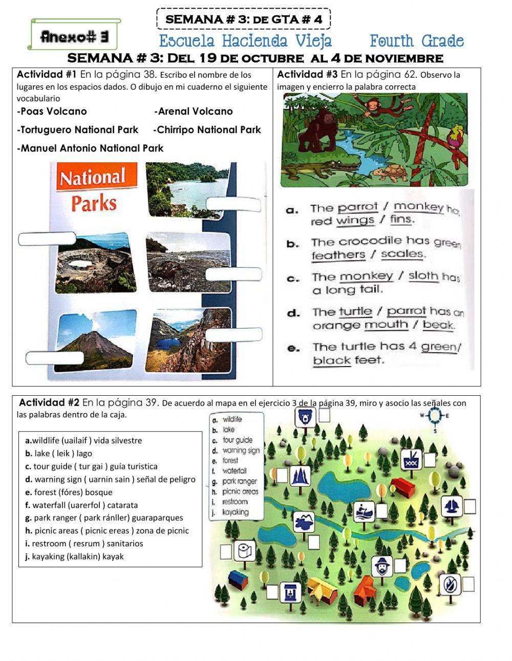 Semana 3 de la Guía - 4