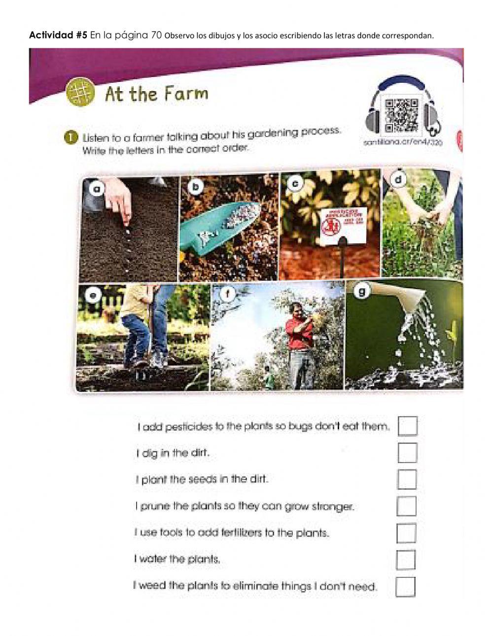 Semana 3 de la Guía - 4