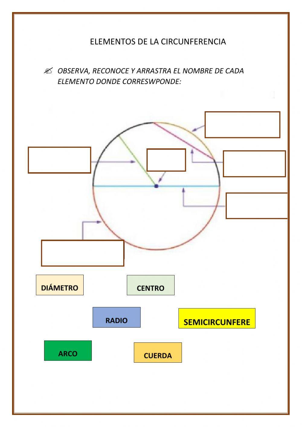 Elementos de la circunferencia