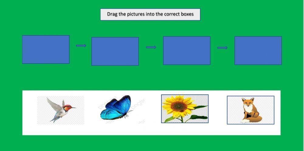 Live Worksheets Biology Diagrams