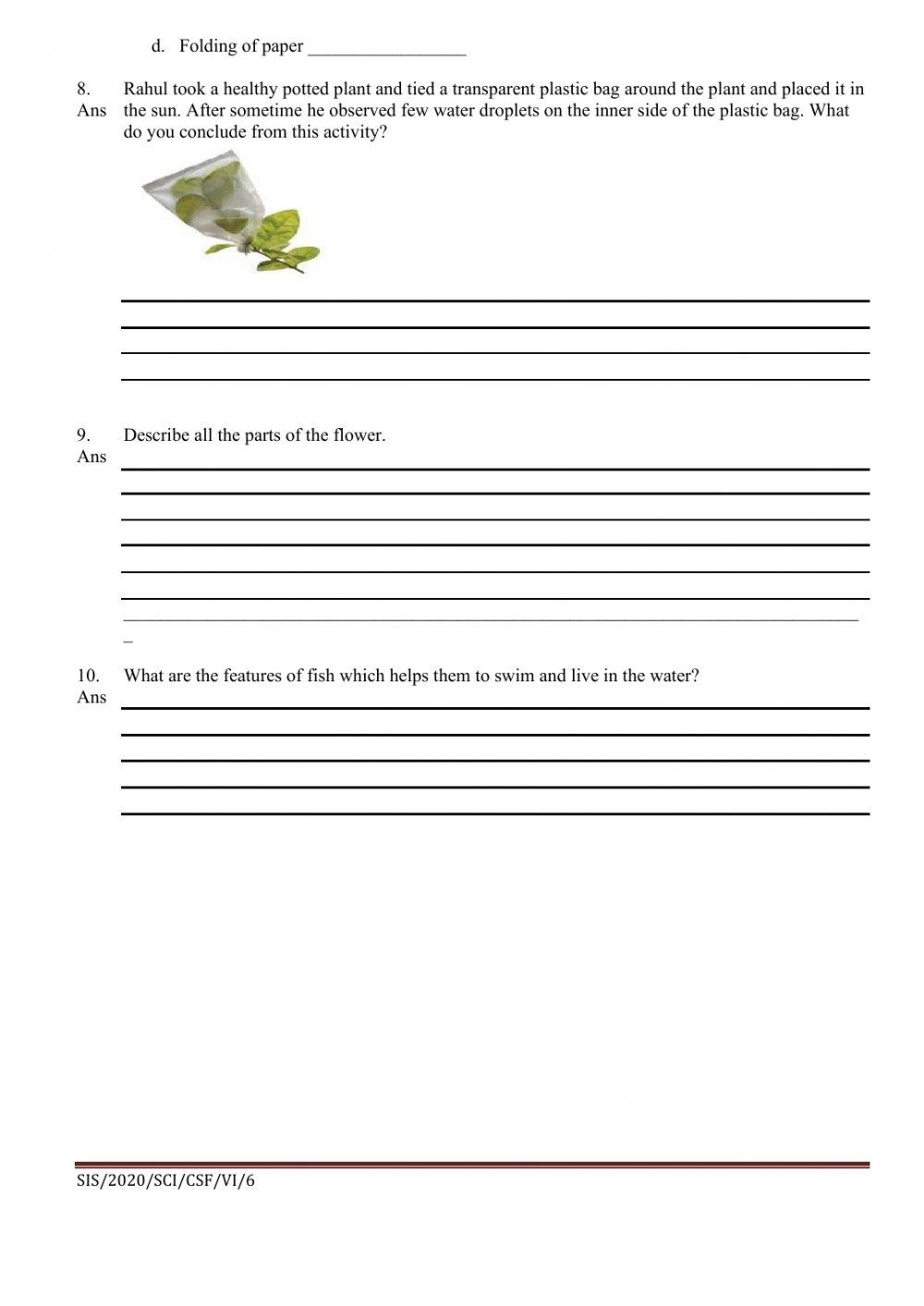 Revision online exercise for Grade 6 | Live Worksheets