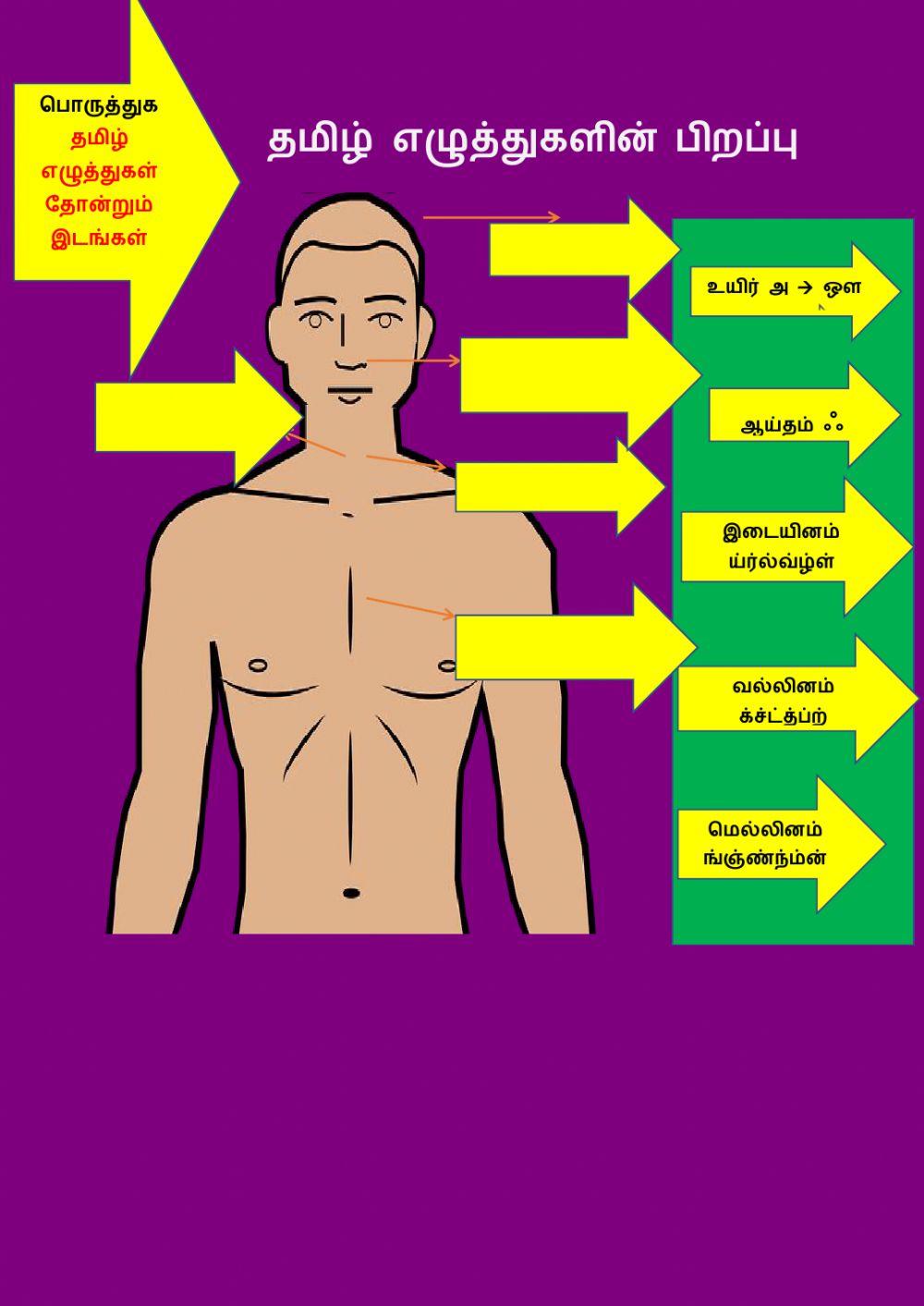 தமிழ் எழுத்துகளின் பிறப்பு