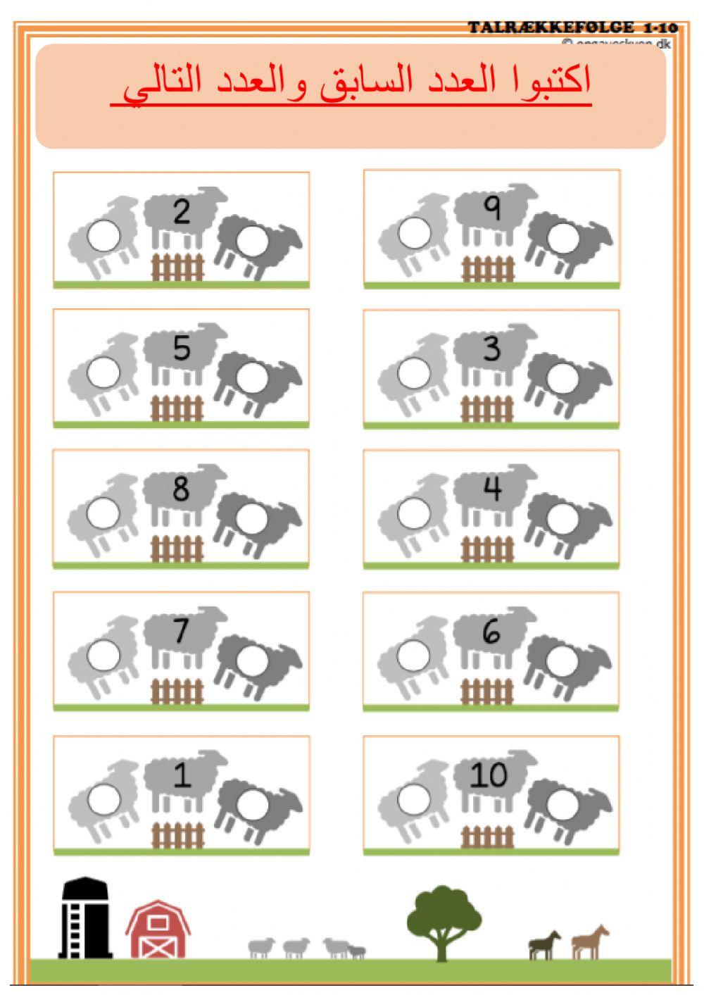 العدد السابق والعدد التالي